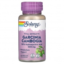 Специальный препарат Solaray Garcinia Cambogia Fruit Ext 500 мг 60 капсул капсул